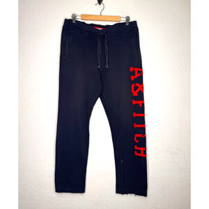 Abercrombie & Fitch Mens Size Large Nacy Spell Out Joggers Straight Leg